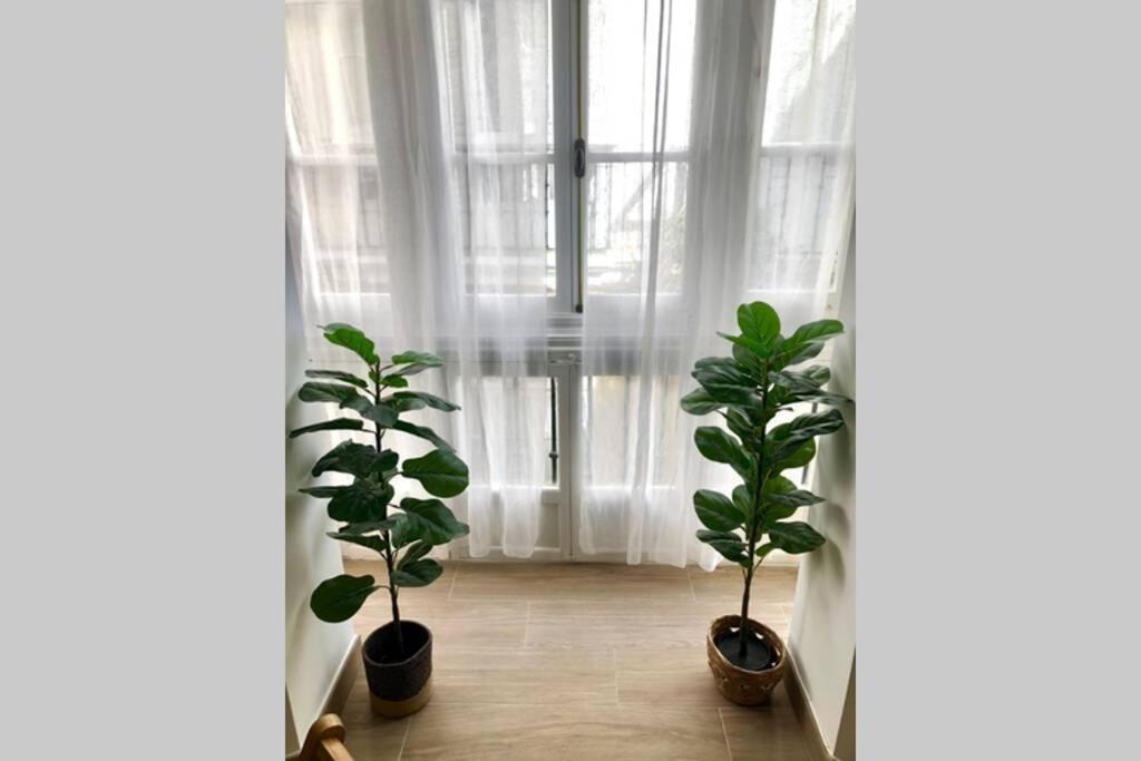 Gatu Premium Villa Libertad, Preferente Mayores De 25 Anos Y Familias Cadiz Dış mekan fotoğraf